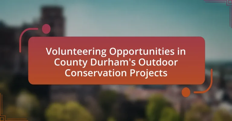 Volunteering Opportunities in County Durham’s Outdoor Conservation Projects