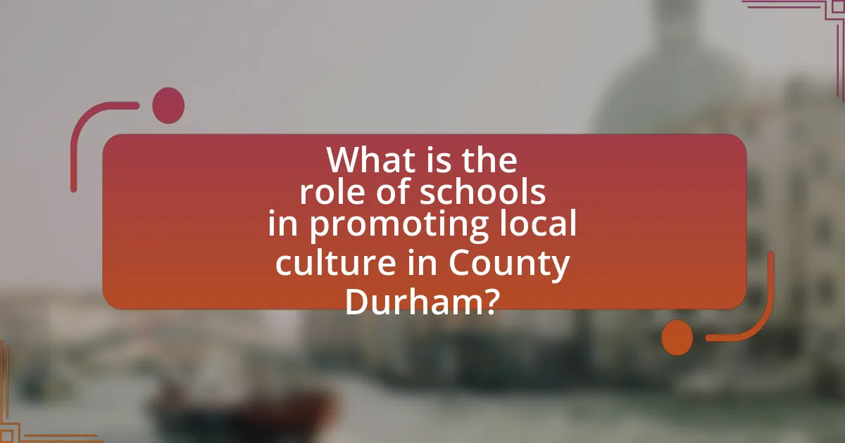 What is the role of schools in promoting local culture in County Durham?