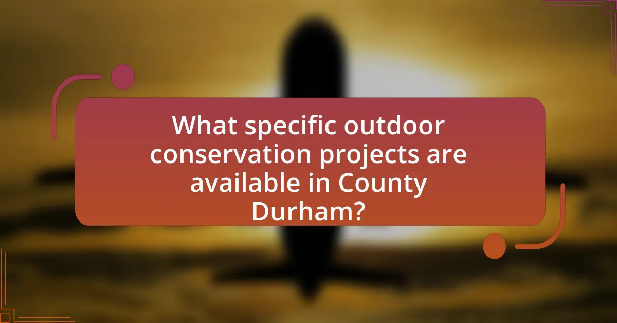 What specific outdoor conservation projects are available in County Durham?