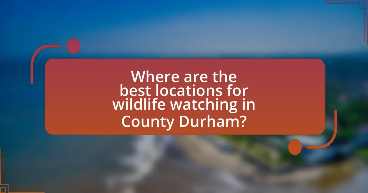 Where are the best locations for wildlife watching in County Durham?